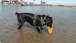 Jack und der Sprung ins Wasser