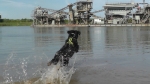 Jack und der Sprung ins Wasser